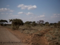 Amboseli-2