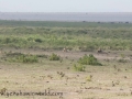 Amboseli 2-121