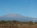 Amboseli 2-161