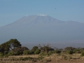 Amboseli 2-177