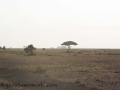 Amboseli 2-46