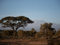 Amboseli-52