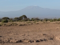 Amboseli-64