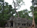 Angkor Wat Area-144.JPG