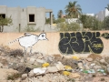 DjerbaHood-102