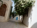 DjerbaHood-184