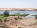 aswan-2