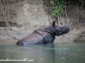 Chitwan (15 of 83)