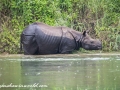 Chitwan (18 of 83)