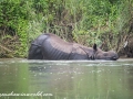 Chitwan (19 of 83)