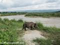 Chitwan NP (2)