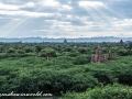 Bagan1 (71 of 79)