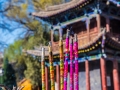 Big Buddha Monestary-9