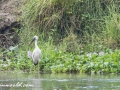 Chitwan (21 of 83)