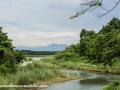 Chitwan (20 of 83)