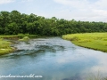 Chitwan (3 of 83)