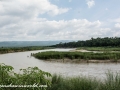 Chitwan NP (1)