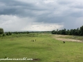 Chitwan NP (17)