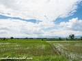 Chitwan NP (23)