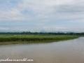 Chitwan NP (7)