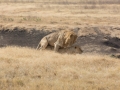 Ngorongoro Crater-114