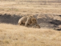 Ngorongoro Crater-117