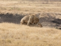 Ngorongoro Crater-119