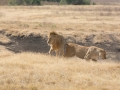 Ngorongoro Crater-121