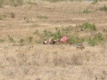 Ngorongoro Crater-167