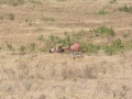 Ngorongoro Crater-168