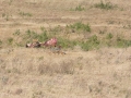 Ngorongoro Crater-172