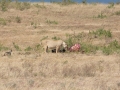 Ngorongoro Crater-179