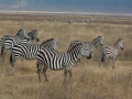 Ngorongoro Crater-50