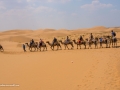 IM- Desert-14