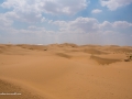 IM- Desert-16