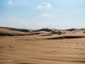 IM- Desert-37