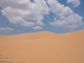 IM- Desert-5