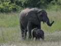 South-Luangwa-5-1-33