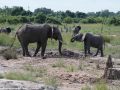 South-Luangwa-5-1-34