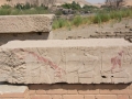 aswan-Elephantine-Felucca-43