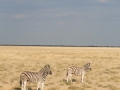 Etosha2-27