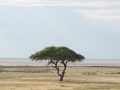 Etosha2-29