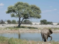 Etosha2-9