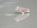 ganges-river-life-22