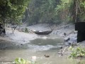 ganges-river-life-23