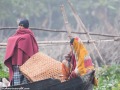 ganges-river-life-7