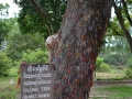 Killing Fields and Tuol Sleng_-20.JPG