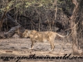 Gir NP (3 of 51)