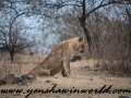 Gir NP (34 of 51)