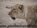 Gir NP (9 of 51)